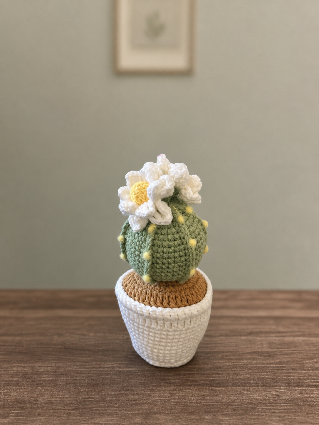 Cactus Round M-01
