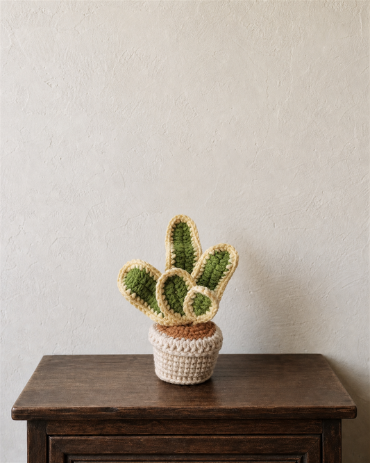 Bunny Ear Cactus Magnetic Mini Potted Plant