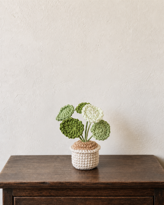 Chinese Money Plant Magnetic Mini Potted Plant