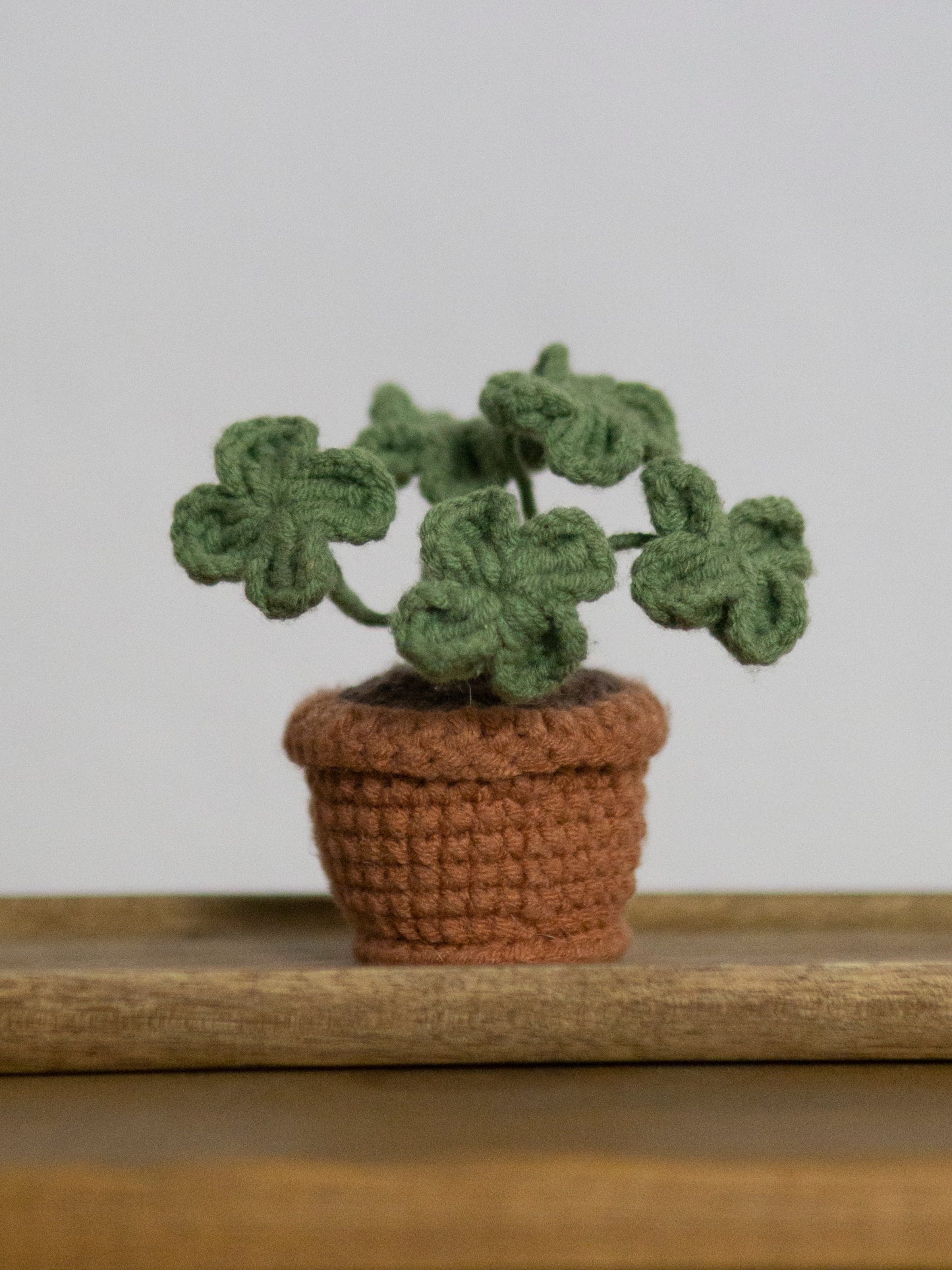 four-leaf clover bonsai