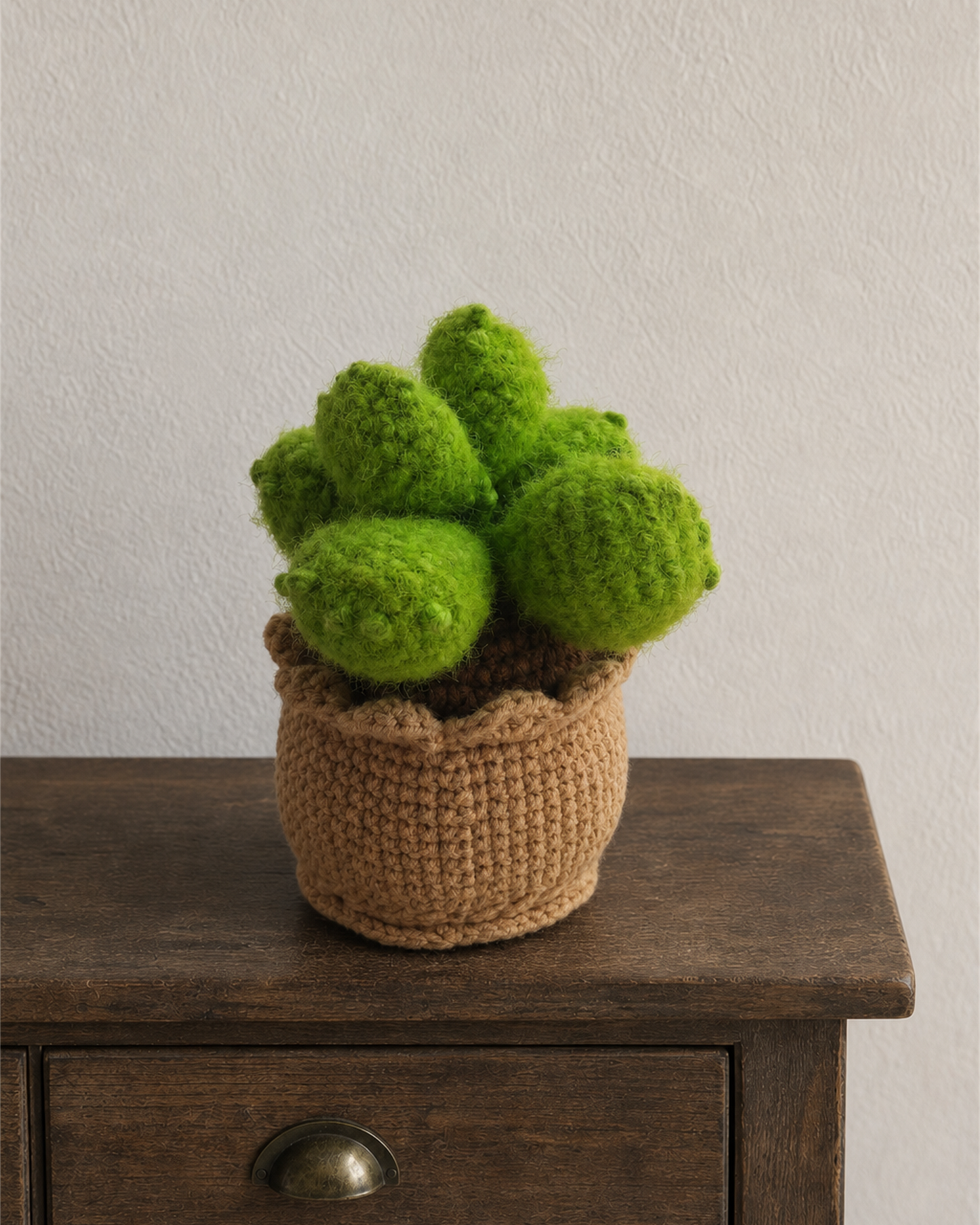 Fuzzy Green Cactus Pot