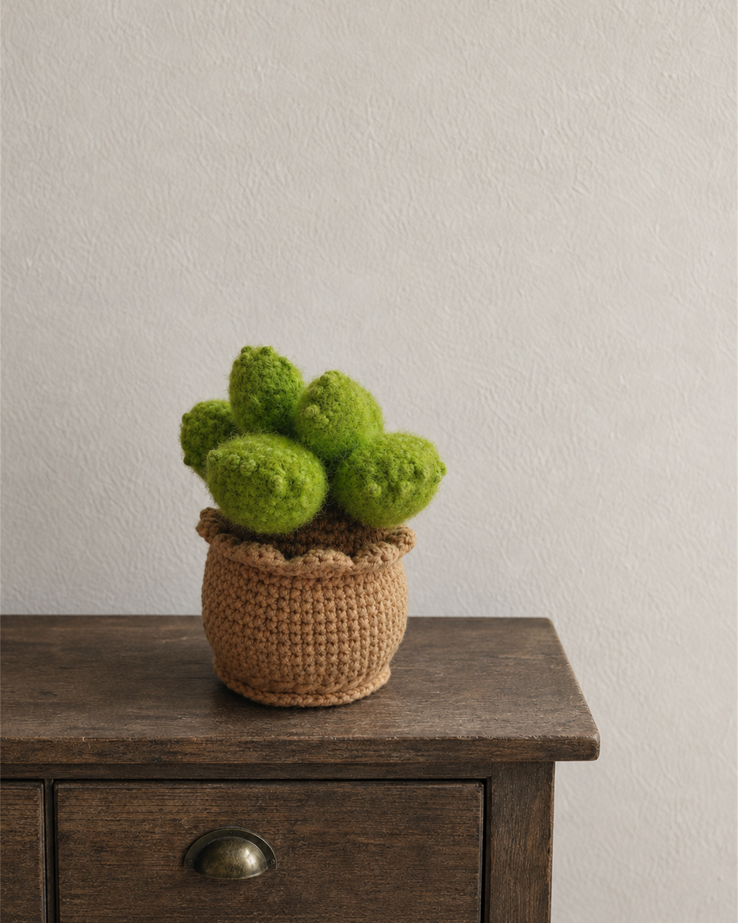 Fuzzy Green Cactus Pot
