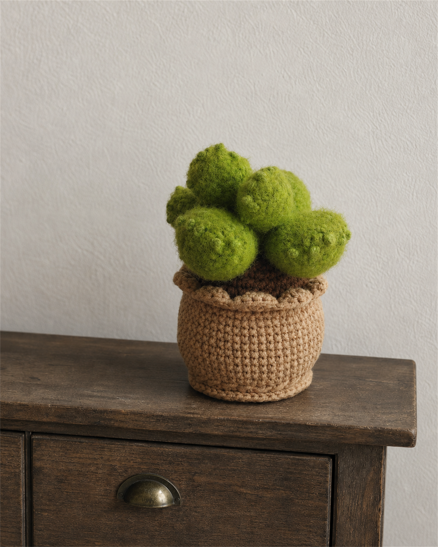 Fuzzy Green Cactus Pot