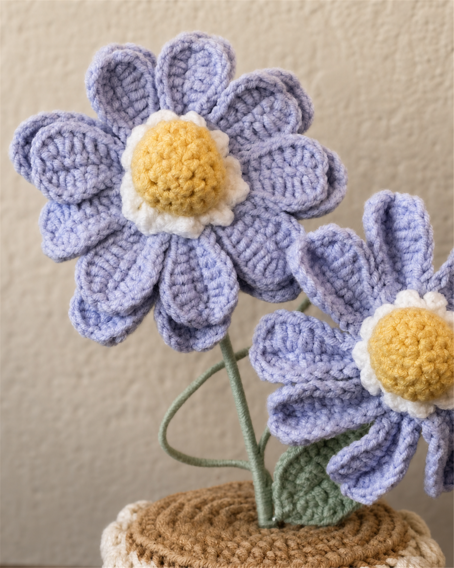 Crochet Daisy Pot