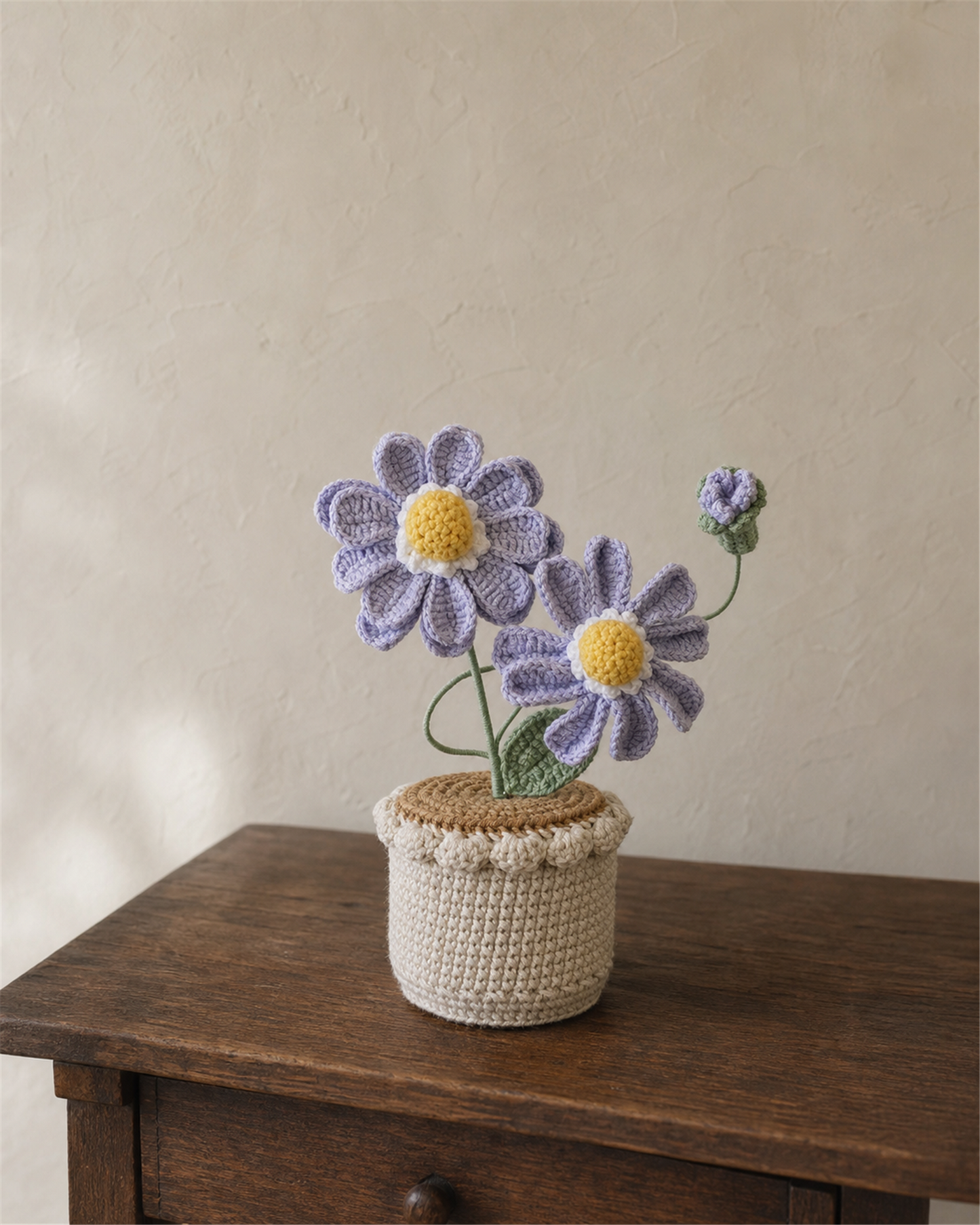 Crochet Daisy Pot