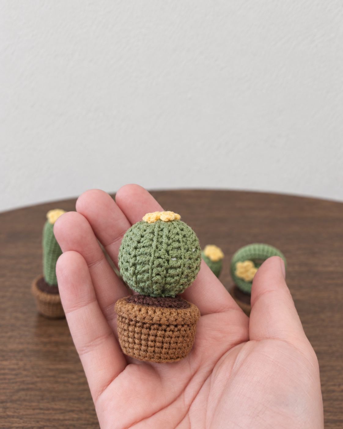 Mini Crochet Cactus Set - 4 Pieces