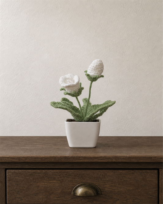 Mini White Bellflower Pot