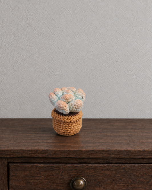 Pastel Succulent Magnetic Mini Potted Plant