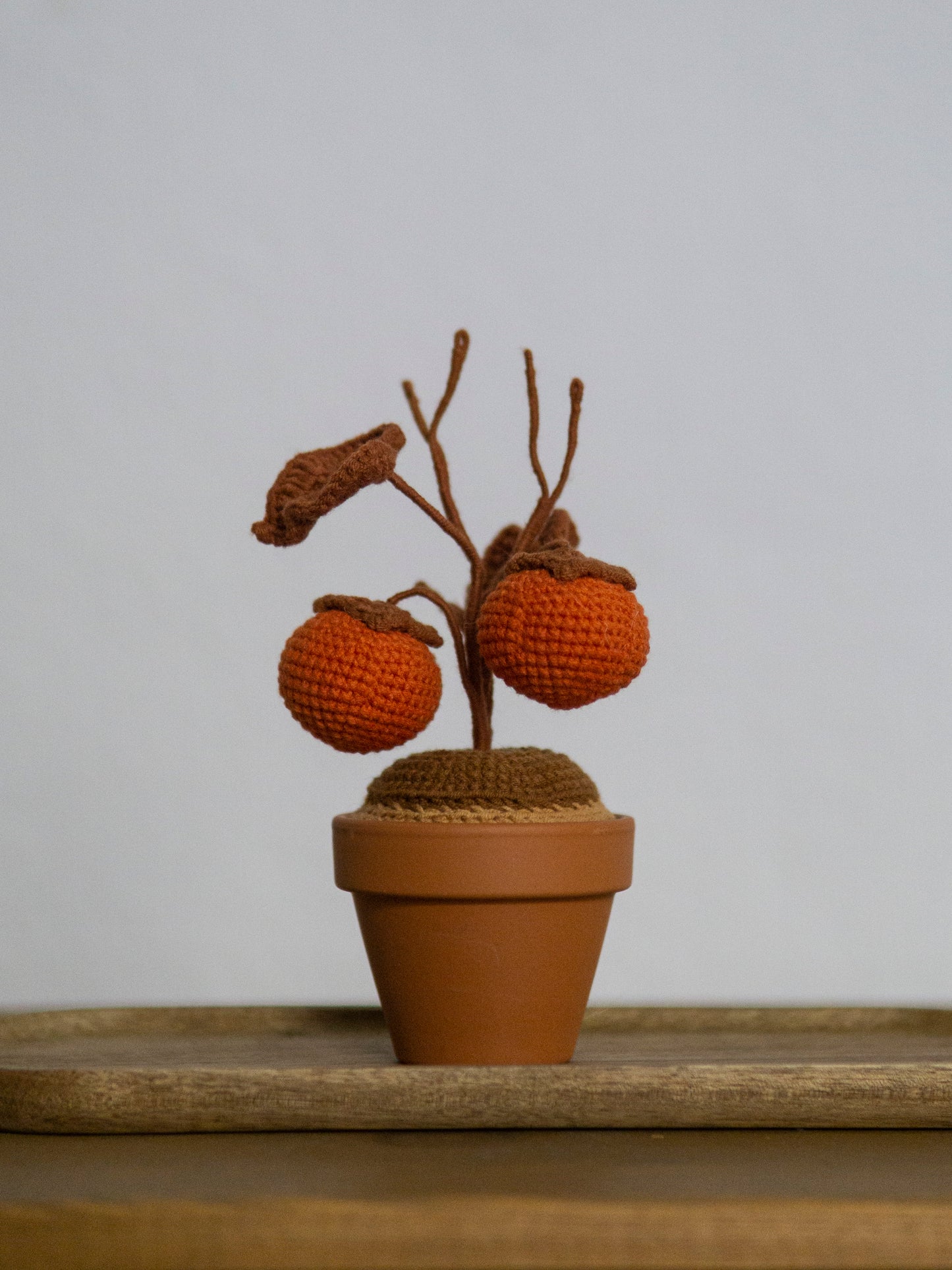 persimmon bonsai