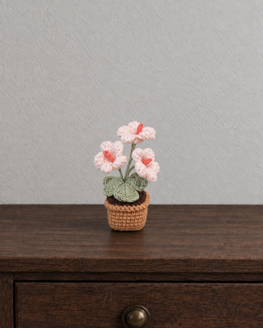 Pink Anthurium Trio Magnetic Mini Potted Plant