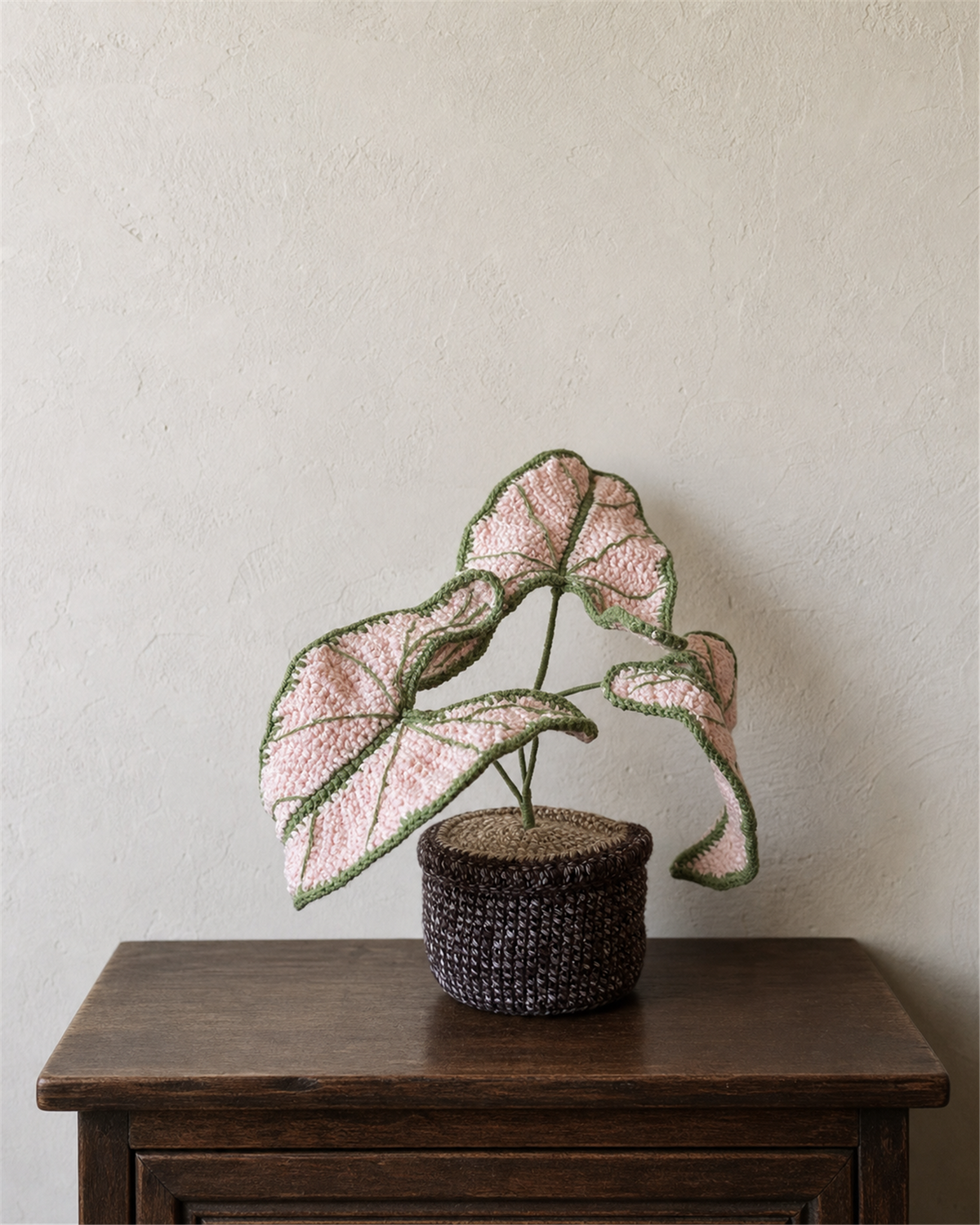 Caladium bicolor ‘Pink Symphony’ Crochet Pot