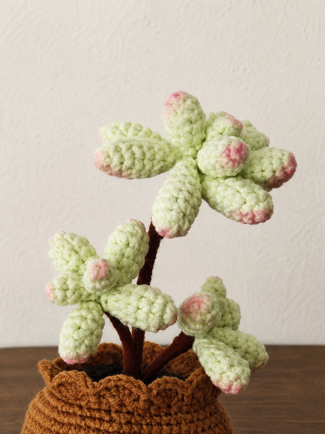 Hand-Crocheted Pink Jelly Bean Succulent