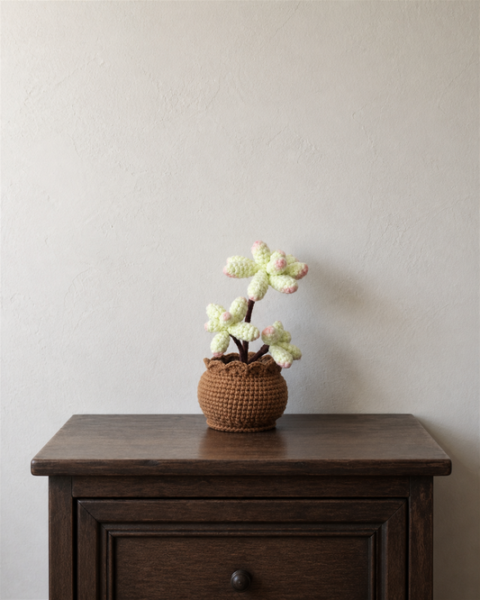 Hand-Crocheted Pink Jelly Bean Succulent