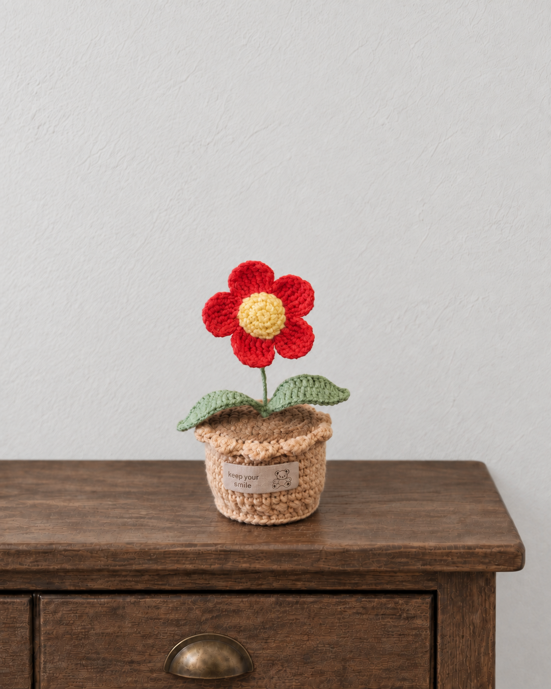Red Smile Flower Pot