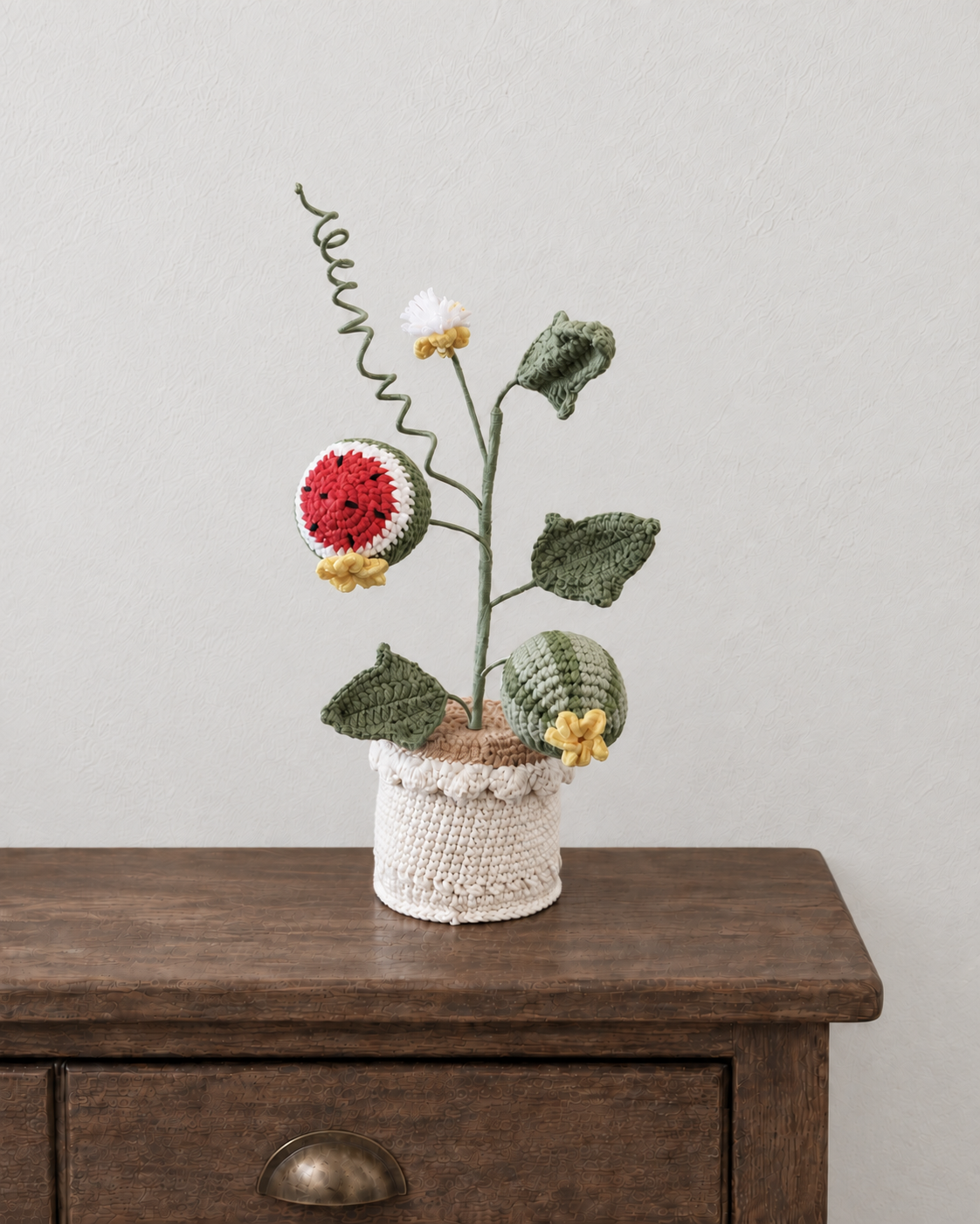 Watermelon Crochet Plant
