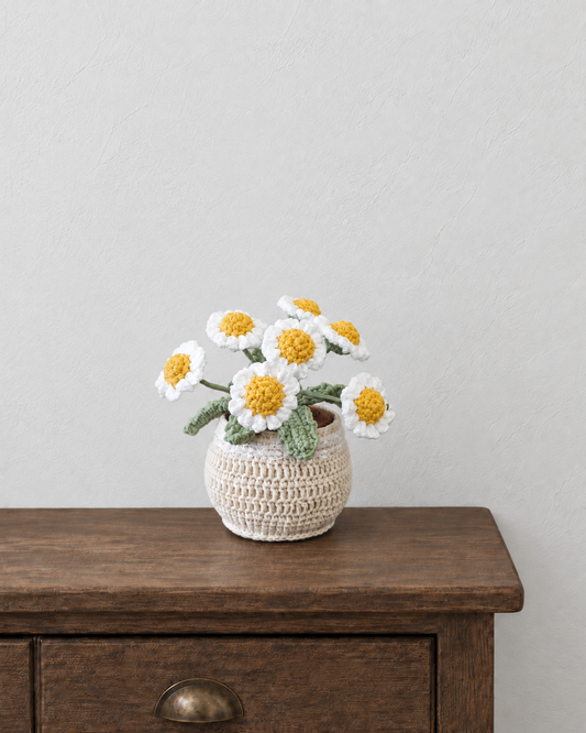 White Daisy Crochet Pot