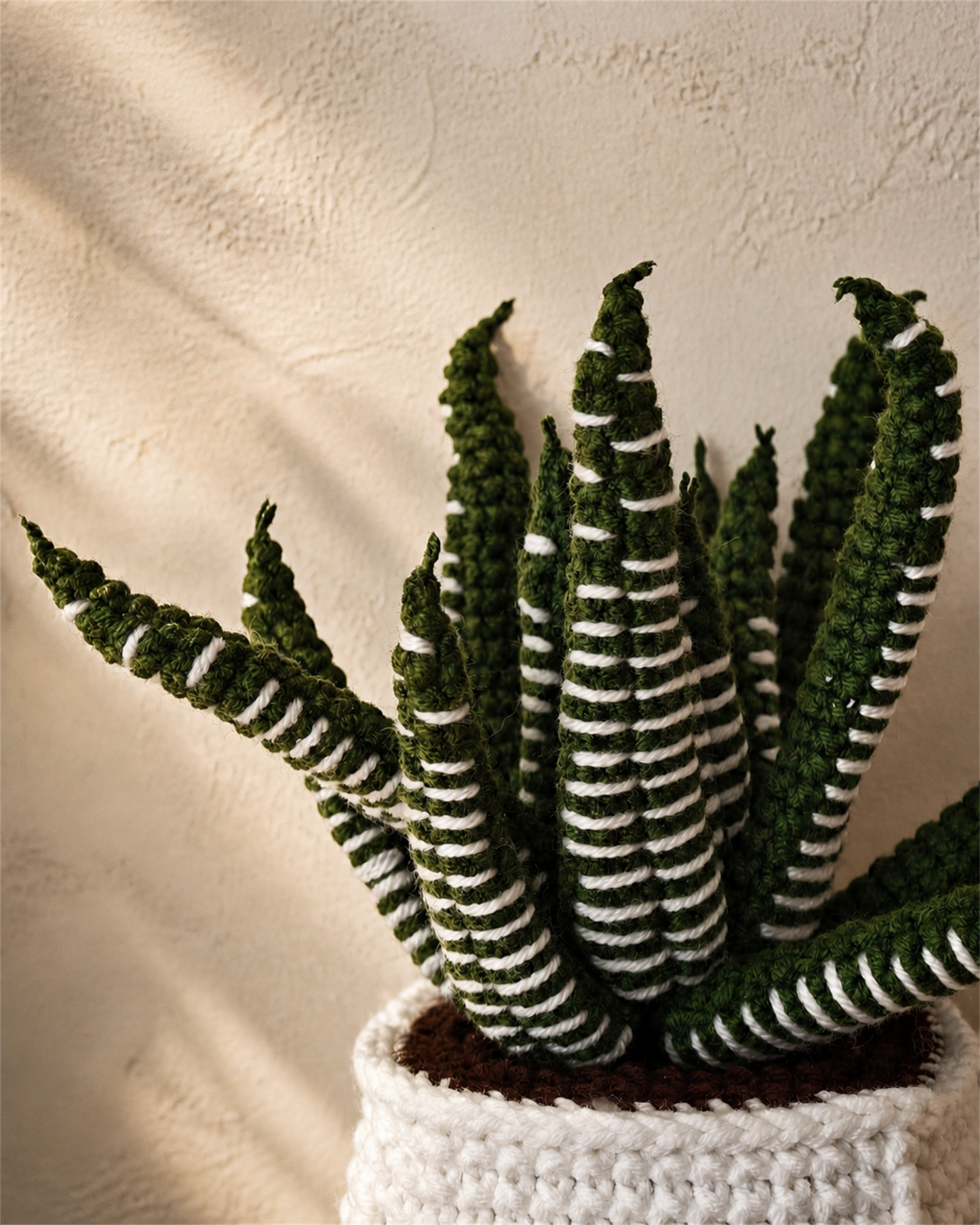 Zebra Haworthia Crochet Pot 23.5 cm