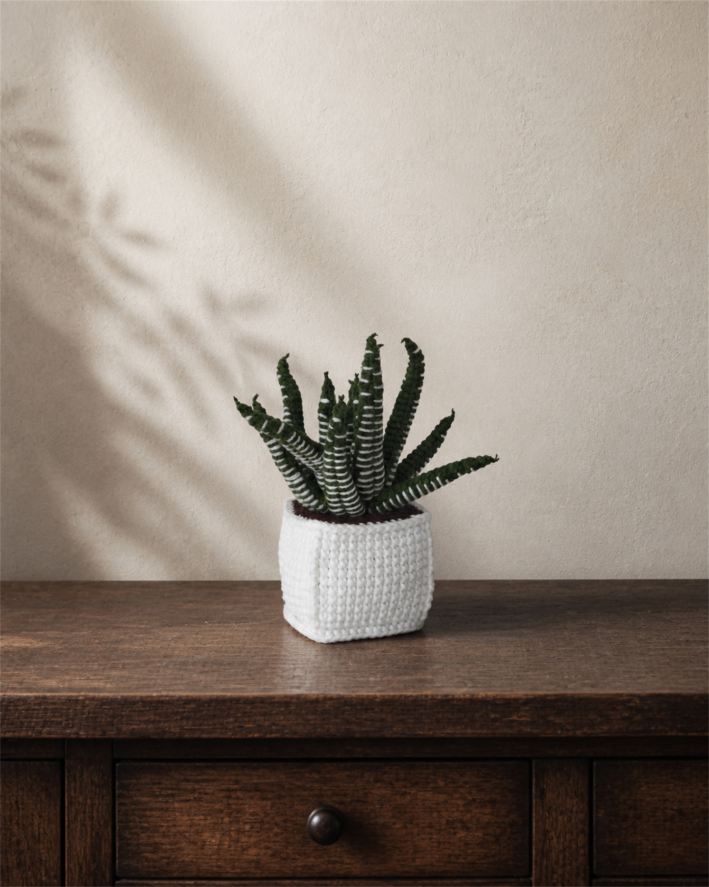 Zebra Haworthia Crochet Pot 23.5 cm
